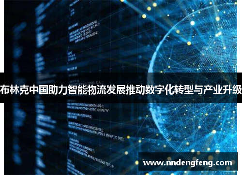 布林克中国助力智能物流发展推动数字化转型与产业升级