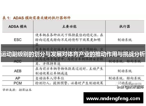 运动副级别的划分与发展对体育产业的推动作用与挑战分析