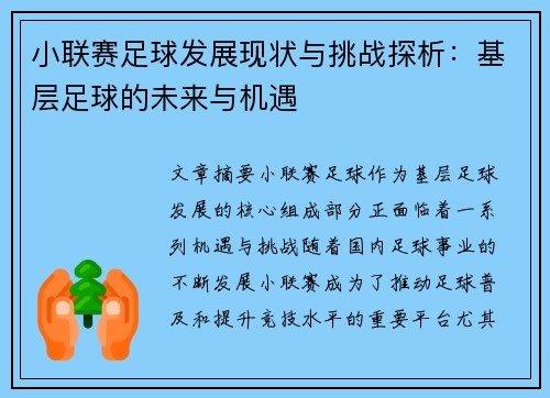 小联赛足球发展现状与挑战探析：基层足球的未来与机遇