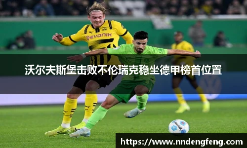 沃尔夫斯堡击败不伦瑞克稳坐德甲榜首位置